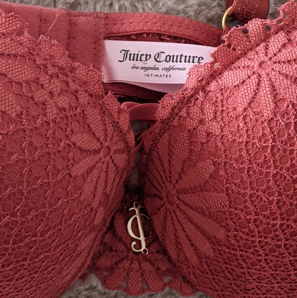 Juicy Couture Sexy Lace Push Up Bra 34B - Picture 13 of 15